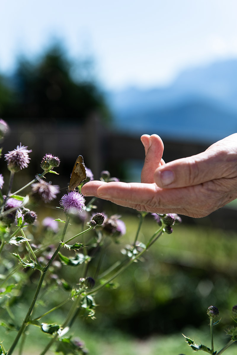 susanne-breit-kessler-rueckzugsort-05
